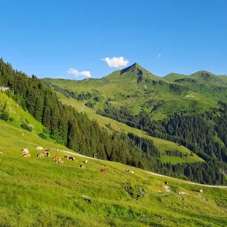 Haus Gletscherblick *