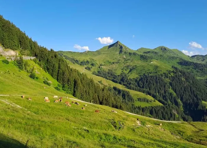 Haus Gletscherblick *